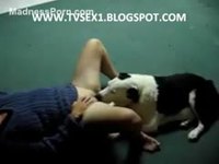 Fuck-hungry European whore is having fun with her obedient pet